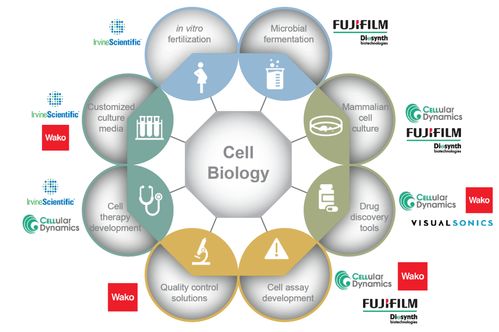 富士膠片 光影之外的科研創新先鋒